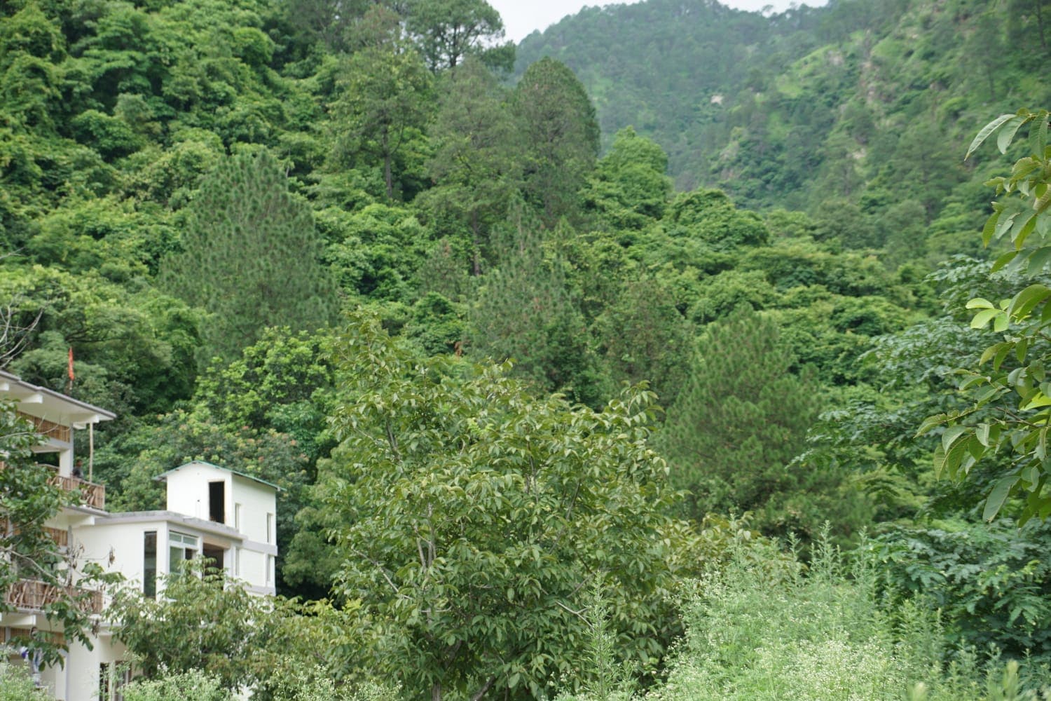 Maulyar Forest Resort gallery 8