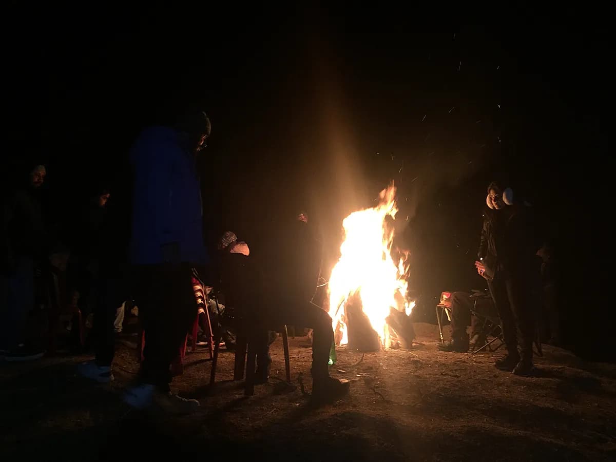 New Year at Harsil Valley - Photo 3